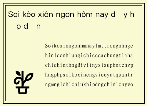 Soi kèo xiên ngon hôm nay đầy hấp dẫn