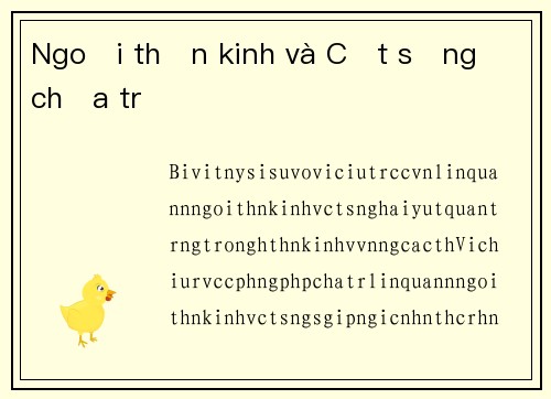Ngoại thần kinh và Cột sống chữa trị