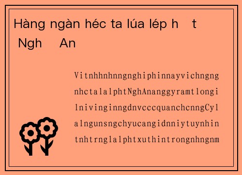 Hàng ngàn héc ta lúa lép hạt ở Nghệ An