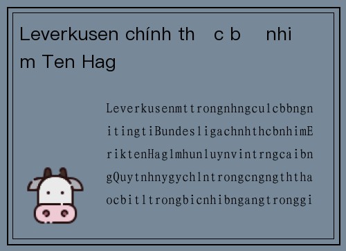 Leverkusen chính thức bổ nhiệm Ten Hag